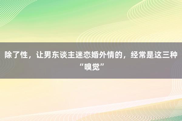 除了性，让男东谈主迷恋婚外情的，经常是这三种“嗅觉”