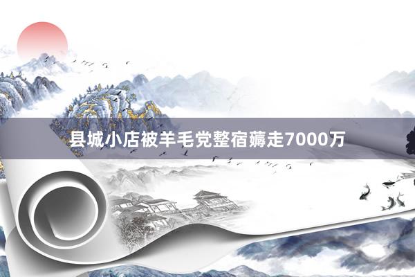 县城小店被羊毛党整宿薅走7000万