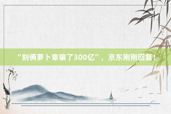 “刻俩萝卜章骗了300亿”，京东刚刚回复！