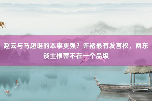 赵云与马超谁的本事更强？许褚最有发言权，两东谈主根蒂不在一个品级