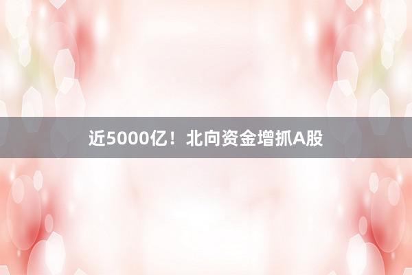 近5000亿！北向资金增抓A股