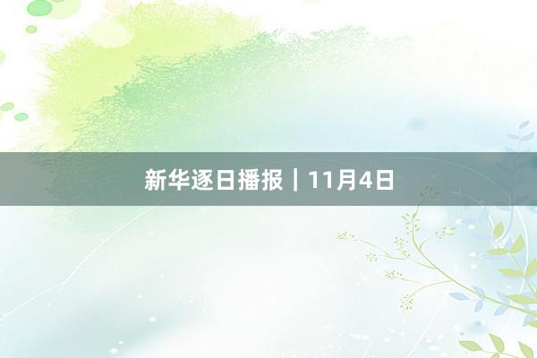 新华逐日播报｜11月4日